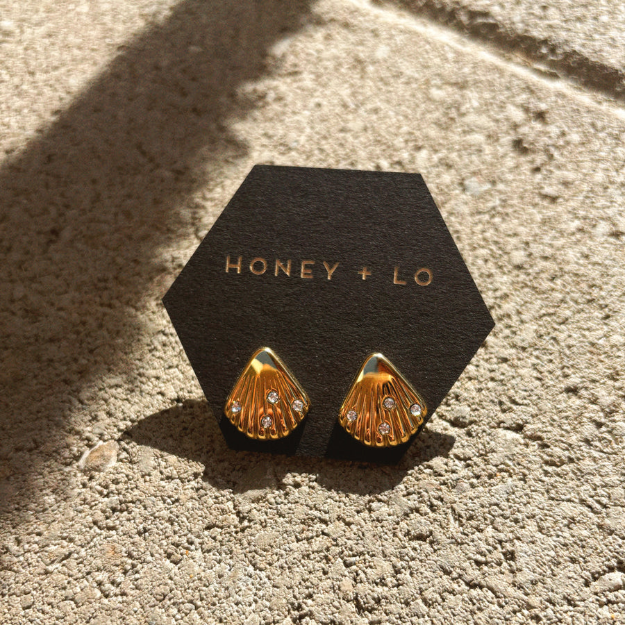 Seashell Stud Earrings