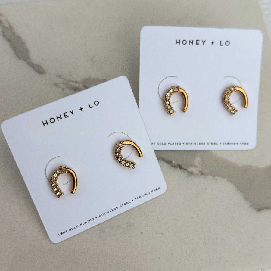 Lucky Horse Shoe CZ Studs